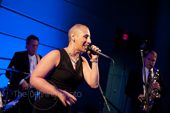 Splendor_2012_398