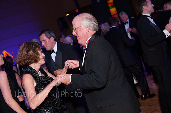 Splendor_2012_418