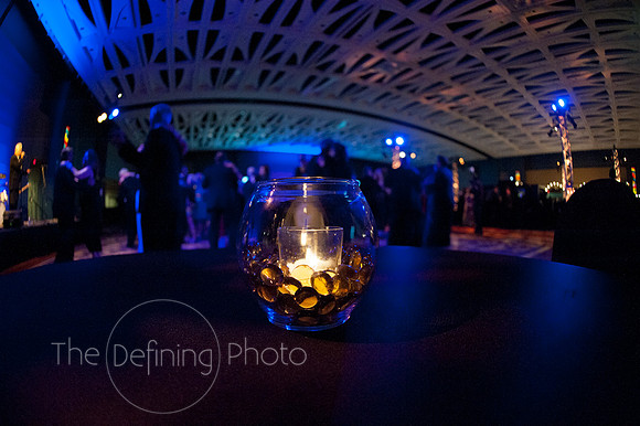 Splendor_2012_419