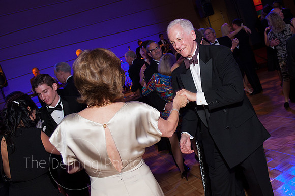 Splendor_2012_430