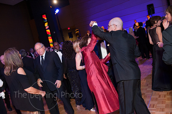 Splendor_2012_446