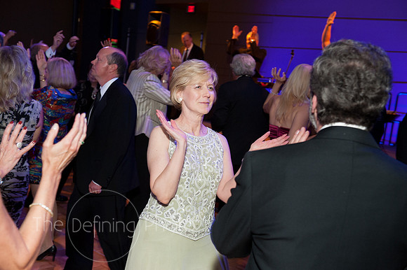 Splendor_2012_449