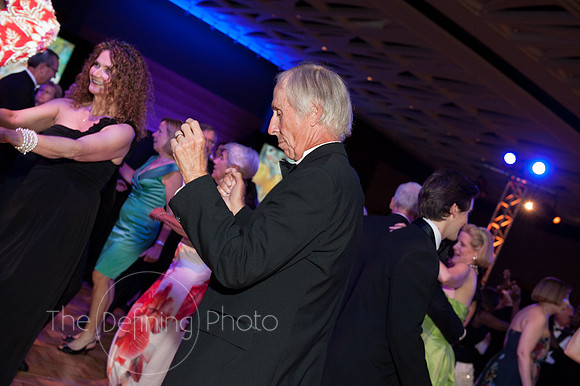 Splendor_2012_451