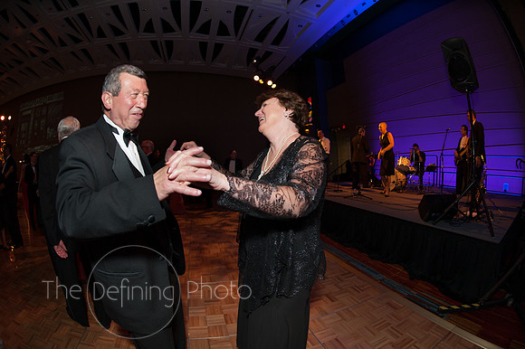 Splendor_2012_457
