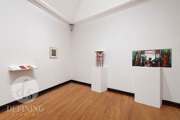 Goldfarb_Installation-16