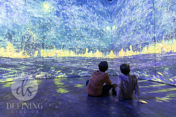 Beyond_Monet-VanGogh-PROOFS-065