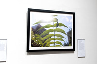 SNAP_Photo_Exhibition-010