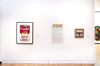 POP_Gallery-013