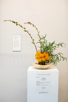 Fine_Art&Flowers_010