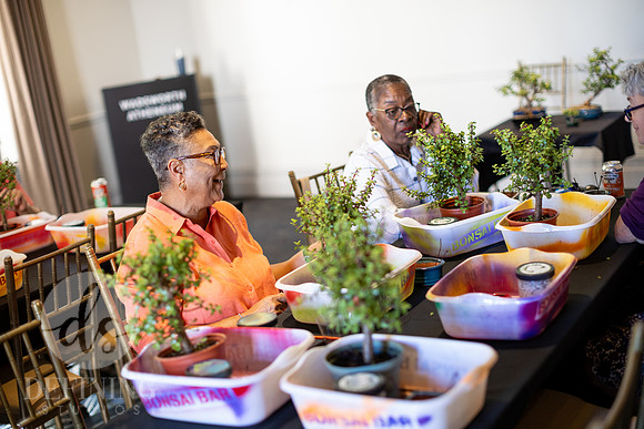 Bonsai_and_Brew_030