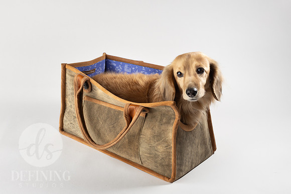 Magnus_Dog_Bag-009