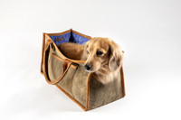 Magnus_Dog_Bag-011