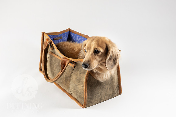 Magnus_Dog_Bag-011
