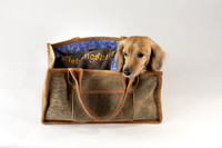 Magnus_Dog_Bag-013