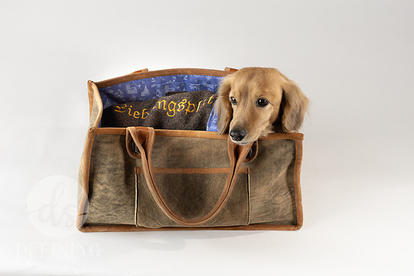 Magnus_Dog_Bag-013