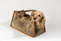 Magnus_Dog_Bag-014