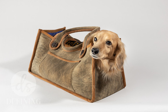 Magnus_Dog_Bag-014