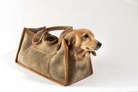 Magnus_Dog_Bag-015
