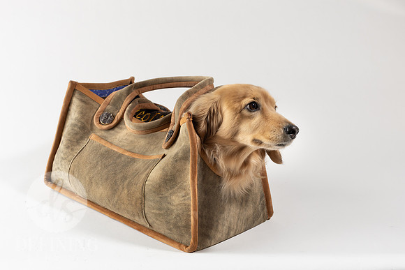 Magnus_Dog_Bag-015