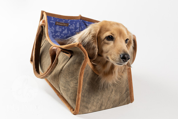 Magnus_Dog_Bag-018