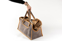 Magnus_Dog_Bag-019
