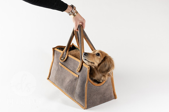 Magnus_Dog_Bag-019