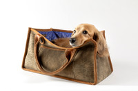 Magnus_Dog_Bag-017