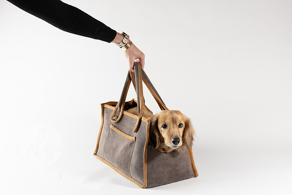 Magnus_Dog_Bag-020