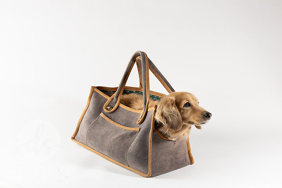 Magnus_Dog_Bag-021