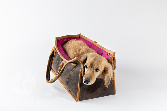 Magnus_Dog_Bag-022