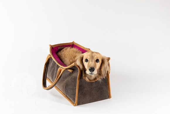 Magnus_Dog_Bag-025