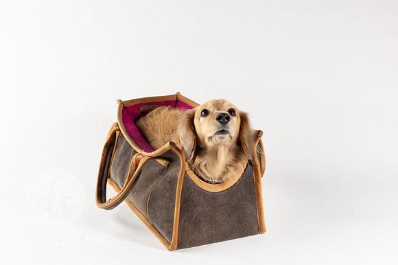 Magnus_Dog_Bag-024