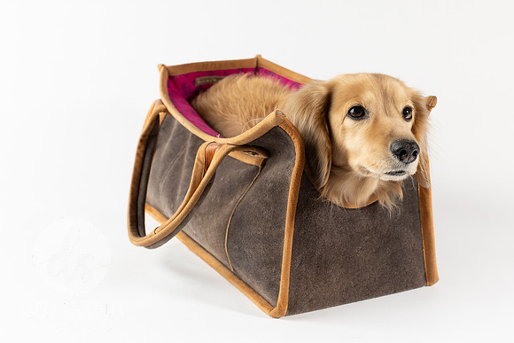 Magnus_Dog_Bag-026
