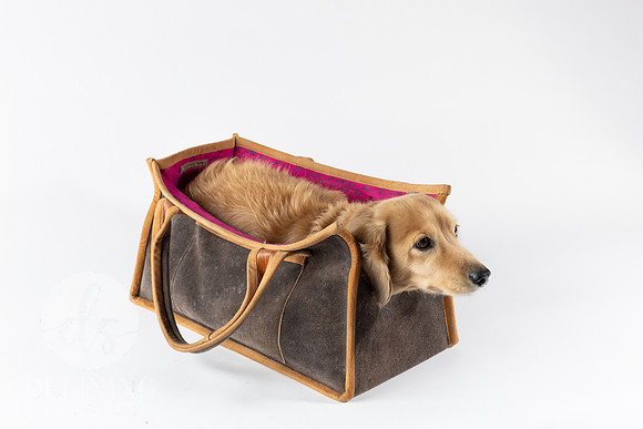 Magnus_Dog_Bag-023