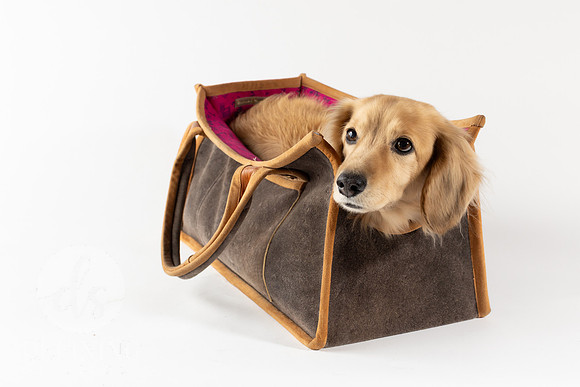 Magnus_Dog_Bag-027