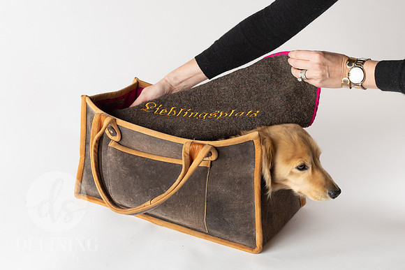 Magnus_Dog_Bag-032