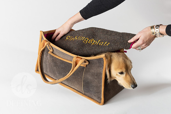 Magnus_Dog_Bag-033