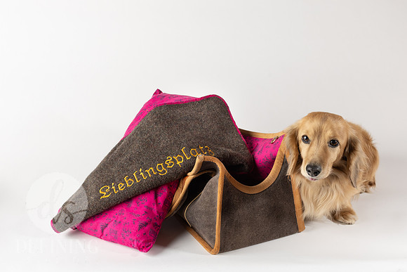 Magnus_Dog_Bag-035