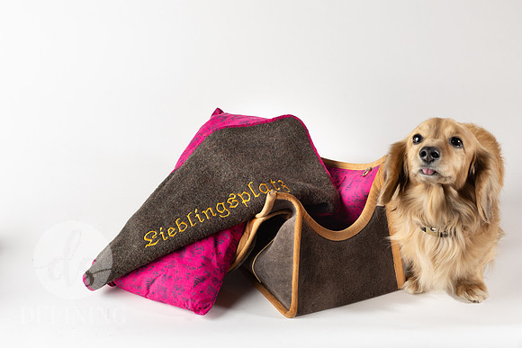 Magnus_Dog_Bag-036