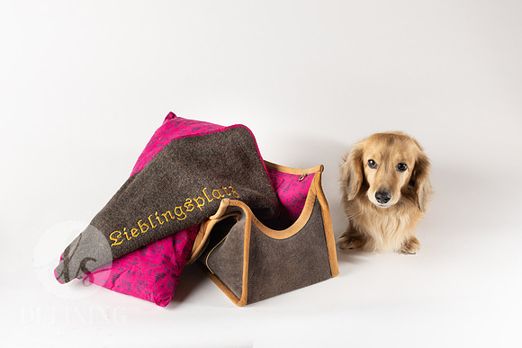 Magnus_Dog_Bag-037