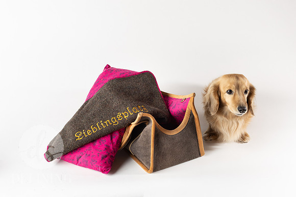 Magnus_Dog_Bag-038