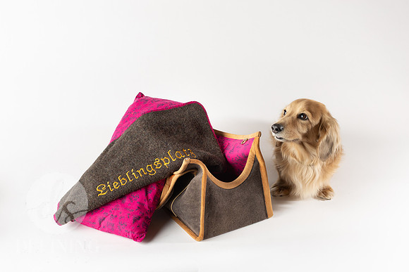 Magnus_Dog_Bag-039