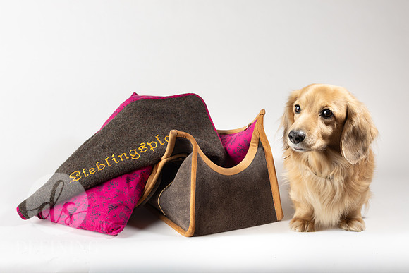 Magnus_Dog_Bag-040