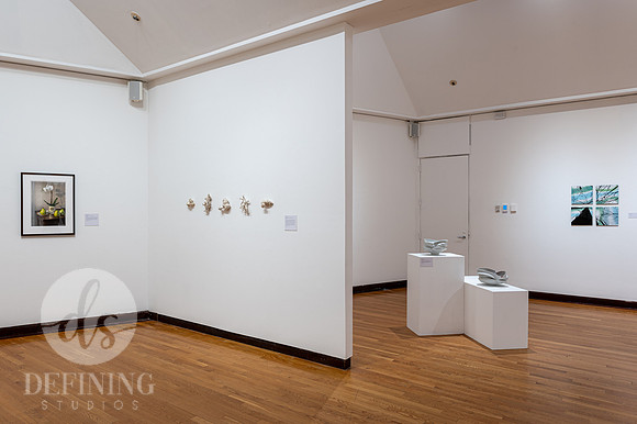 Faculty_&_Staff_Galleries_021