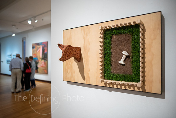 HAS_Faculty_Exhibition_182