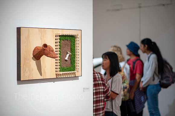 HAS_Faculty_Exhibition_050