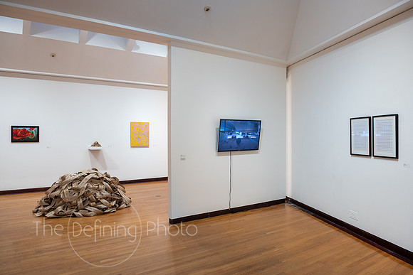 HAS_Faculty_Exhibition_067