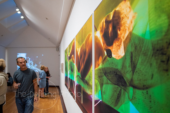 HAS_Faculty_Exhibition_144