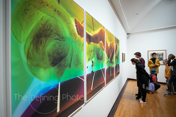 HAS_Faculty_Exhibition_168