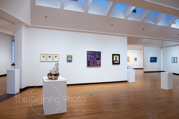 HAS_Faculty_Exhibition_063
